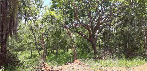 Lote/Terreno à venda, 20000m² no , Araçaí