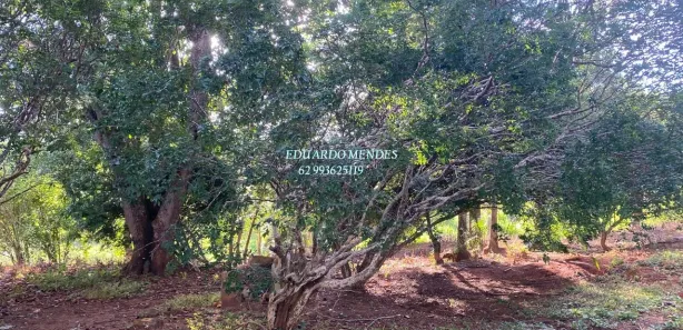 Fazenda/Sítio com 3 Quartos à venda, 96800m² no Planalmira, Abadiânia