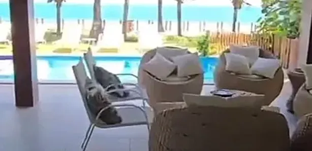 Casa de Condomínio com 4 Quartos à venda, 222m² no , Ipojuca