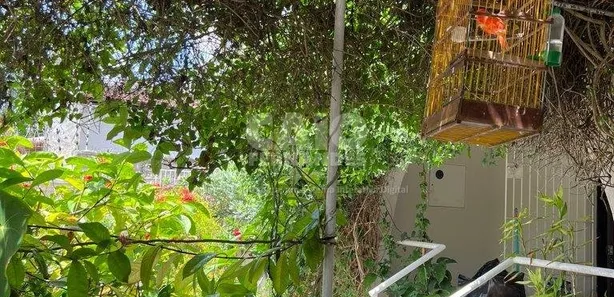 Casa com 5 Quartos à venda, 282m² no Petrópolis, Natal