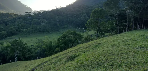 Fazenda/Sítio com 3 Quartos à venda, 300000m² no Área Rural de Macaé, Macaé