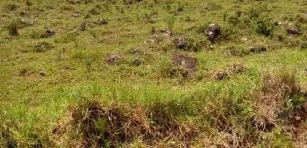 Fazenda/Sítio com 2 Quartos à venda, 35000m² no , Caraá