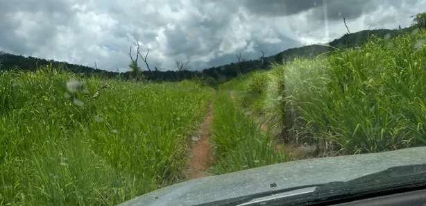 Fazenda/Sítio com 1 Quarto à venda, 484000000m² no , Babaçulândia