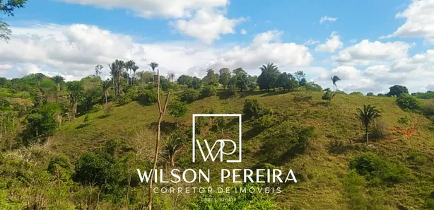 Fazenda/Sítio com 1 Quarto à venda, 43000m² no Centro, Serraria