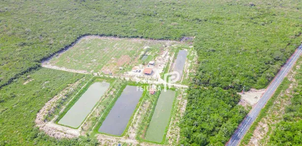 Fazenda/Sítio à venda, 200m² no Fazenda Sofia, Humberto de Campos