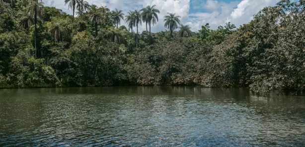 Lote/Terreno à venda, 20000m² no Lagoa Mansões, Lagoa Santa