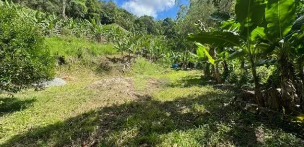 Fazenda/Sítio à venda, 660m² no Área Rural de Macaé, Macaé