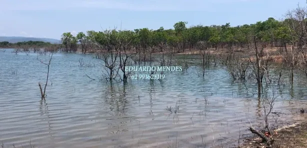Fazenda/Sítio com 3 Quartos à venda, 232320m² no , Niquelândia