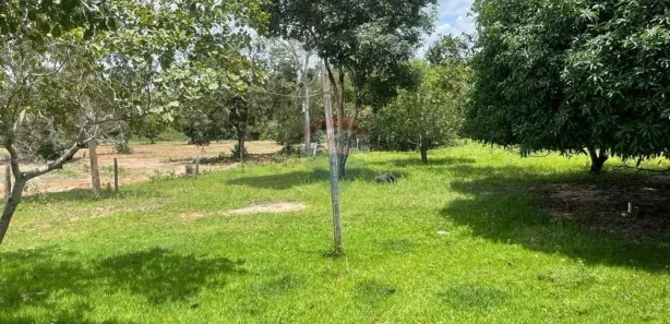 Fazenda/Sítio com 3 Quartos à venda, 2400000m² no Loteamento Araguaína Sul, Araguaína