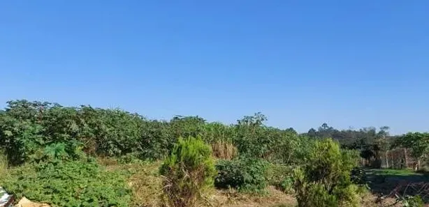 Lote/Terreno à venda, 1200m² no Esmeralda, Viamão