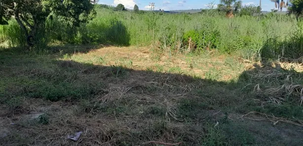 Fazenda/Sítio com 4 Quartos à venda, 10000m² no Incra 8, Brasília