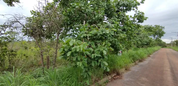 Fazenda/Sítio à venda, 20000m² no , Brasília