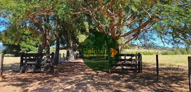 Fazenda/Sítio à venda, 6679200m² no , 