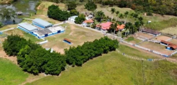 Fazenda/Sítio à venda no , Buritis