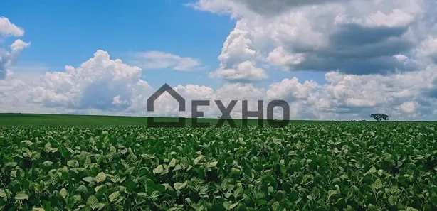 Fazenda/Sítio com 1 Quarto à venda, 225m² no , Gameleira de Goiás