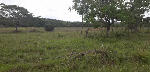 Lote/Terreno à venda, 20000m² no Zona Rural, Araçaí