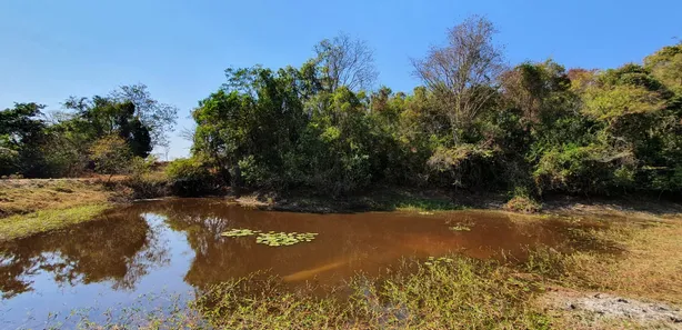 Lote/Terreno à venda, 20000m² no Centro, Fortuna de Minas