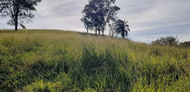 Fazenda/Sítio com 3 Quartos à venda, 8m² no , Bonfinópolis