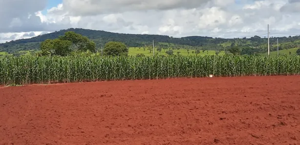 Fazenda/Sítio à venda, 2000m² no Área Rural, Goianira