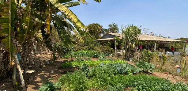 Fazenda/Sítio com 4 Quartos à venda, 15000m² no Condomínio Mestre D'Armas, Brasília