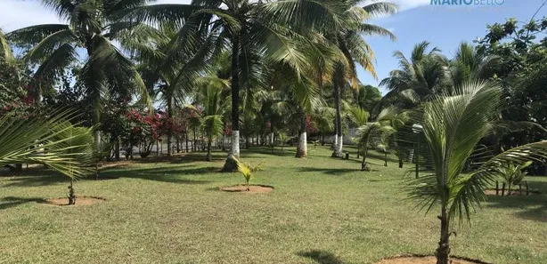 Fazenda/Sítio com 3 Quartos à venda, 237m² no Cassange, Salvador