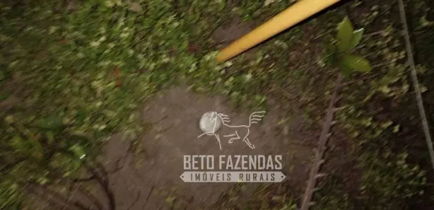 Fazenda/Sítio à venda, 208370000m² no , Urbano Santos