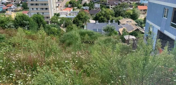 Lote/Terreno à venda, 384m² no Universitário, Bento Gonçalves