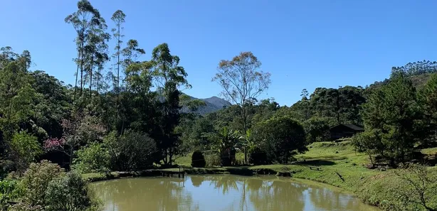Imóvel Comercial com 5 Quartos à venda, 2000m² no , Passa Vinte