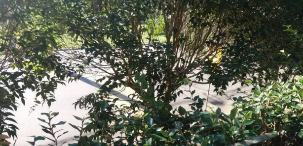 Lote/Terreno à venda, 420m² no Tarumã, Viamão
