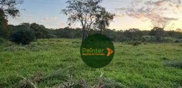 Fazenda/Sítio à venda, 1306800m² no , 