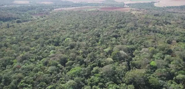 Fazenda/Sítio à venda, 43562m² no , Terezópolis de Goiás