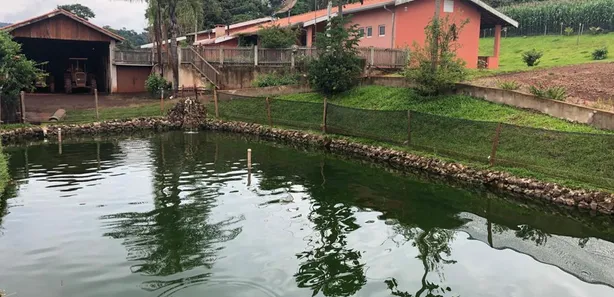 Fazenda/Sítio com 4 Quartos à venda, 31000m² no Área Rural de Arandu, Arandu
