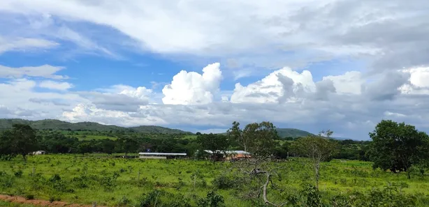 Fazenda/Sítio à venda no , Buritis