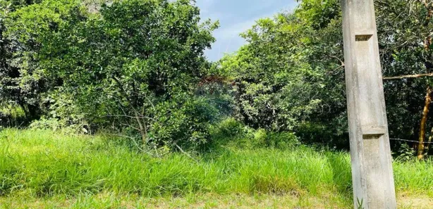 Lote/Terreno à venda, 1075m² no Centro, Nova Santa Rita