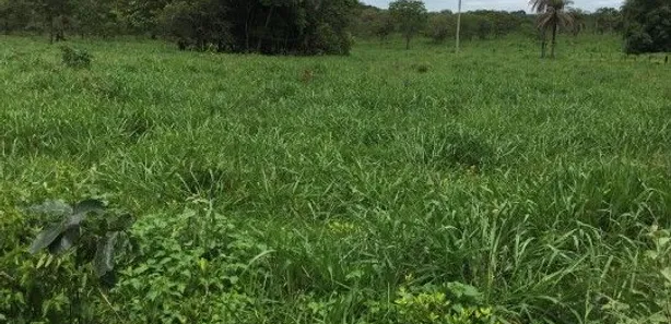 Fazenda/Sítio à venda, 3680000m² no , Cabeceira Grande