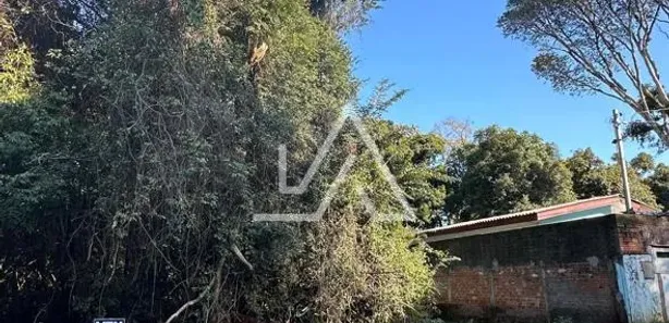 Lote/Terreno à venda, 432m² no Lucas Araújo, Passo Fundo
