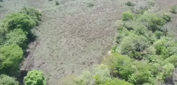 Fazenda/Sítio à venda no , Buritis