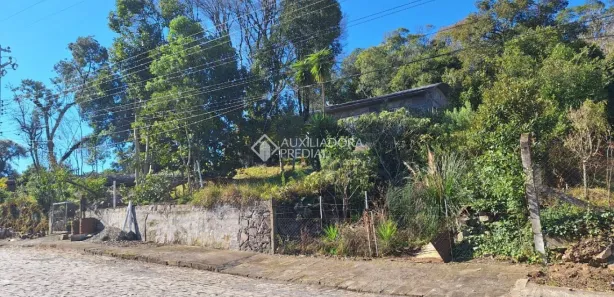 Lote/Terreno à venda, 3000m² no Cruzeiro, Caxias do Sul