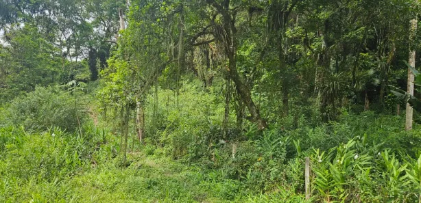 Lote/Terreno à venda, 2400m² no Antonina, Antonina