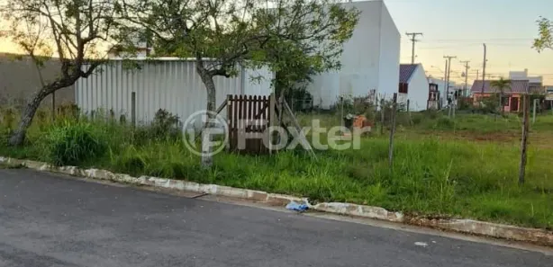 Lote/Terreno à venda, 250m² no Parque da Matriz, Gravataí