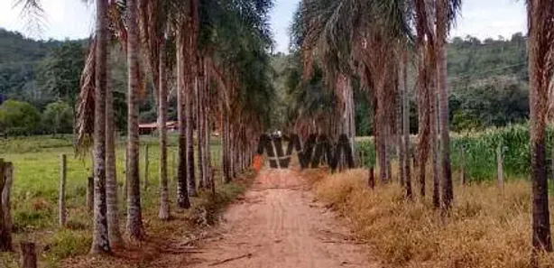 Fazenda/Sítio com 4 Quartos à venda, 1137400m² no , 
