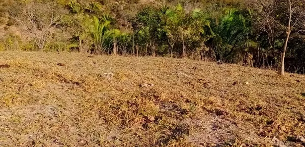Fazenda/Sítio com 2 Quartos à venda, 80m² no , Padre Bernardo
