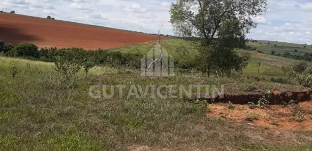 Fazenda/Sítio com 3 Quartos à venda, 8m² no Centro, Avaí