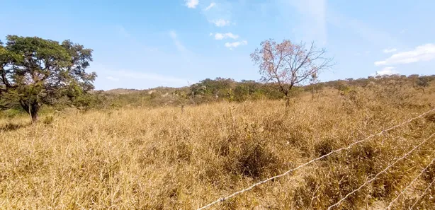 Fazenda/Sítio à venda, 20000m² no Setor de Habitações Individuais Sul, Brasília