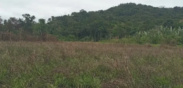 Fazenda/Sítio à venda, 677600m² no , Guaraqueçaba