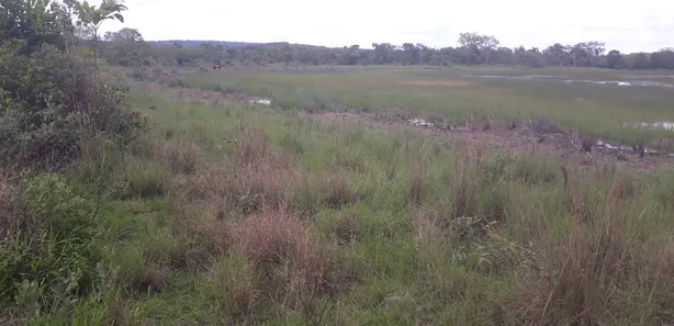 Lote/Terreno à venda, 20000m² no , Araçaí