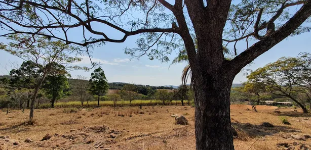 Lote/Terreno à venda, 20000m² no , Fortuna de Minas