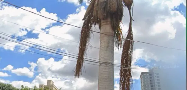 Casa de Condomínio com 3 Quartos à venda, 115m² no Vila Rosa, Goiânia