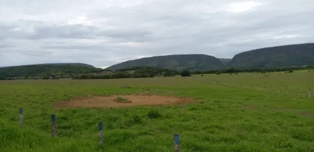 Fazenda/Sítio à venda no , Buritis