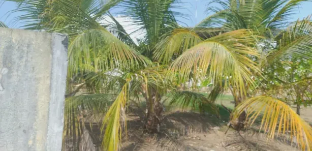 Lote/Terreno à venda, 3568m² no Cachoeirinha, Manaus